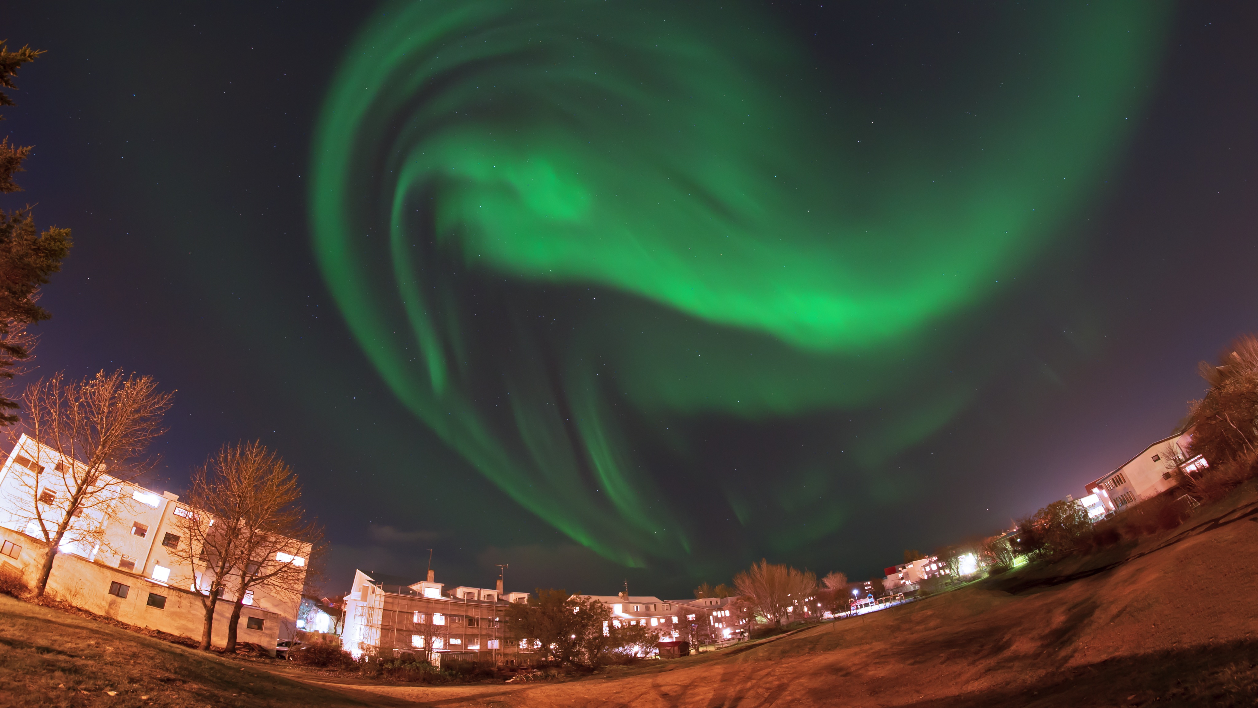 Islandia · Flymingo